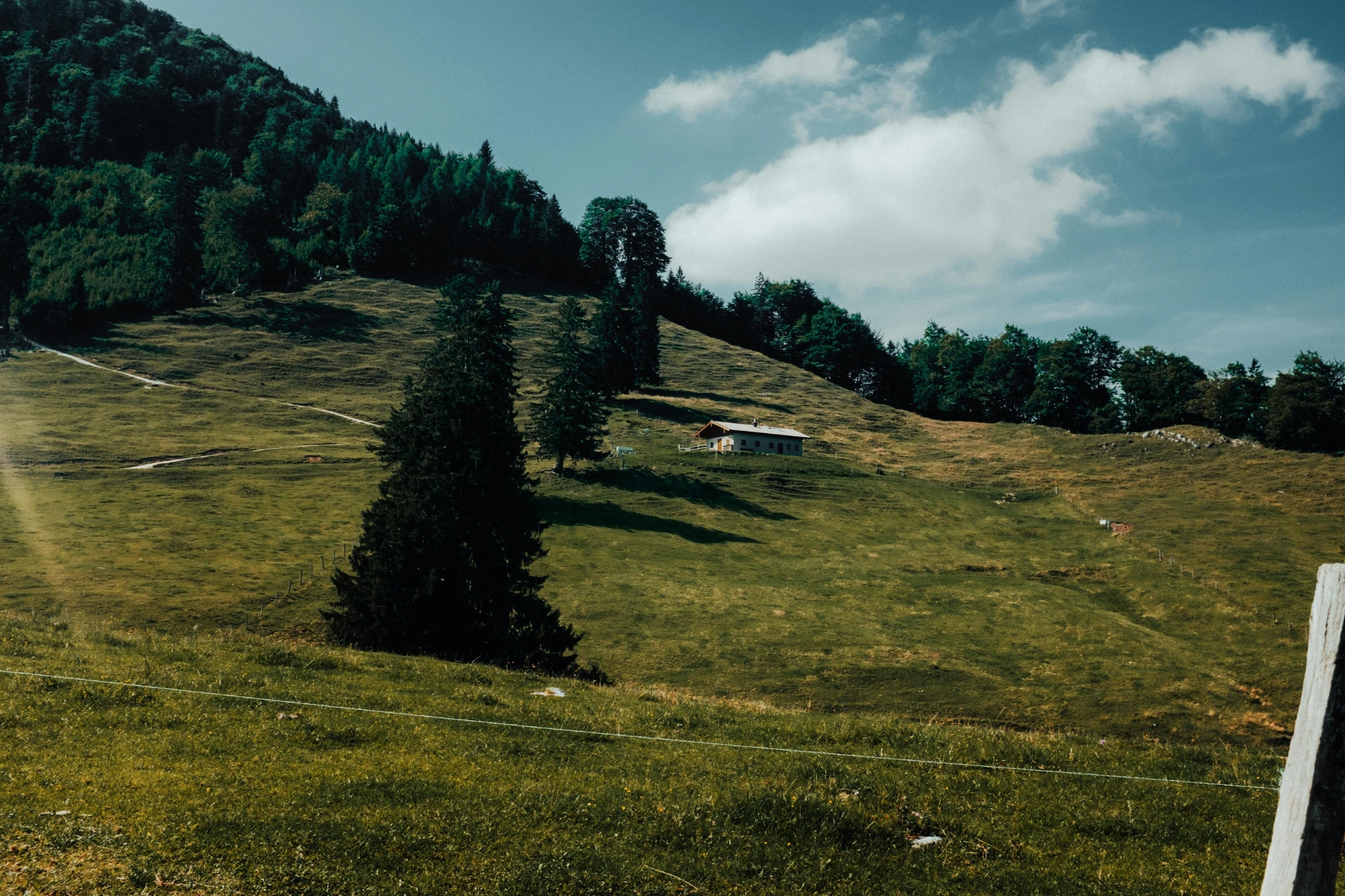 Scenic Mountain Meadow with Remote Hut